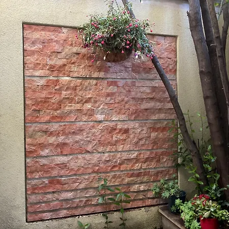 Lulic * Μακάρσκα